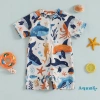 Đồ bơi trẻ em Aqua Toddler hình cá mập tay ngắn, cổ đứng, dây kéo, chống nắng - Giá ưu đãi 128k 3