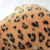 Đồ chơi bông SHANLIN Snow Leopard & Cheetah báo tuyết, sư tử cho bé gái 134.420 VND 8