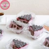 Dụng cụ nướng bánh N2HAO 10/50 cái Vỏ sò nhựa Bento, hộp bánh V2, tiện đóng gói 5