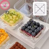 Dụng cụ nướng bánh N2HAO 10/50 cái Vỏ sò nhựa Bento, hộp bánh V2, tiện đóng gói 9