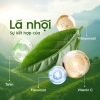 Dung dịch vệ sinh Lá Nhội LULAMI kháng khuẩn, sạch sâu dạng bọt 110ml Giảm giá 440.000₫ 9