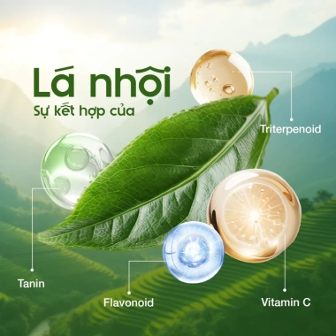 Dung dịch vệ sinh Lá Nhội LULAMI kháng khuẩn, sạch sâu dạng bọt 110ml Giảm giá 440.000₫ 9