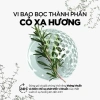 Dung Dịch Vệ Sinh Rogé Cavaillès Anti-Bacterien 250ml Ngừa Viêm Nhiễm Nấm Ngứa Khử Mùi Giá Ưu Đãi 300.000 3