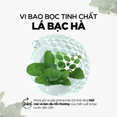 Dung Dịch Vệ Sinh Rogé Cavaillès Fraicheur 250ml Sạch, Thơm Mát, Giá 350.000₫
