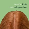 Dưỡng Chất Hỗ Trợ Dịu Nhẹ Da Đầu BC Scalp Soothing 100ml Giá Ưu Đãi 516.000 VND 4