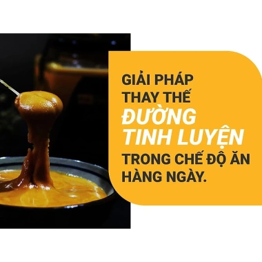 Đường Thốt Nốt Nguyên Chất 100% - Đặc Sản Ngon Lành 450g/850g Xanhsam Organic Giá ưu đãi 97,750₫