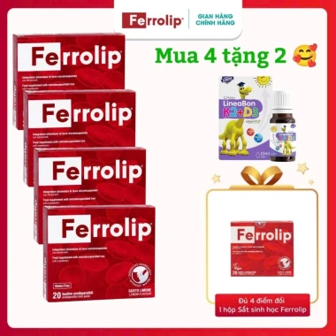 Ferrolip Sắt Mẹ Bầu 20 Gói Mua 4 Tặng 2 Bổ Sung Sắt Toàn Thai Kỳ Giá 335.000