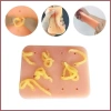 Fidget Pimple Popper Mini Bóp Nhỏ – Đồ Chơi Pinching Giảm Stress, Cảm Giác Thực Tế Di Động Cho Thanh Thiếu Niên 9