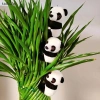 Gấu Trúc Sang Trọng Búp Bê Mềm Động Vật Kẹp Ôm Rèm - Taikula Giá ưu đãi 61,160₫