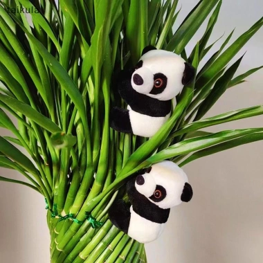 Gấu Trúc Sang Trọng Búp Bê Mềm Động Vật Kẹp Ôm Rèm - Taikula Giá ưu đãi 61,160₫
