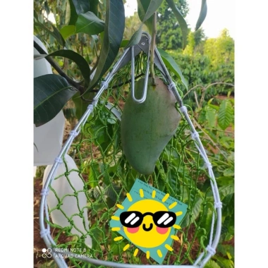 Gậy Hái Quả Tiện Lợi 3m-6m - Sào Hái Trái Cây Rút Gọn, Hái Dễ Dàng Chỉ 210k 3 Gậy Hái Quả Tiện Lợi 3m-6m - Sào Hái Trái Cây Rút Gọn, Hái Dễ Dàng Chỉ 210k 3