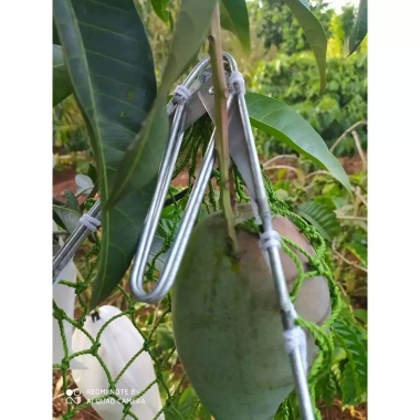 Gậy Hái Quả Tiện Lợi 3m-6m - Sào Hái Trái Cây Rút Gọn, Hái Dễ Dàng Chỉ 210k 5 Gậy Hái Quả Tiện Lợi 3m-6m - Sào Hái Trái Cây Rút Gọn, Hái Dễ Dàng Chỉ 210k 5