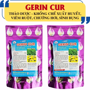 GERIN CUR 200g Thảo Dược Đường Ruột Ngừa Bệnh Trên Cá Ếch Lươn Baba Giá 175k