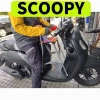 Ghế ga xếp sắt sơn tĩnh điện SCOOPY cho bé - Gấp gọn an toàn, giá chỉ 205.100 VND 5