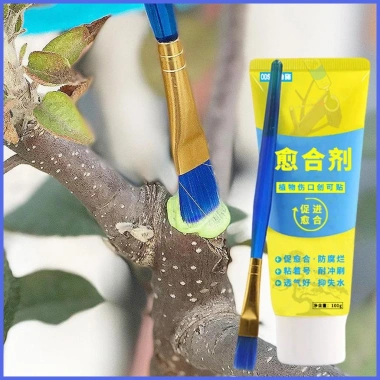 Ghép Cây Niêm Phong 100g - Cắt Tỉa Cây Cảnh Tự Nhiên, Bảo Vệ Lâu Dài, Giá 77.000₫ 2 Ghép Cây Niêm Phong 100g - Cắt Tỉa Cây Cảnh Tự Nhiên, Bảo Vệ Lâu Dài, Giá 77.000₫ 2