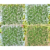 Giàn lá hàng rào 70x2cm nhân tạo đa màu - Trang trí cây lá, giá 113.400₫ 2