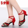 Giày Khiêu Vũ Latin Đáy Mềm Người Lớn, Trung Gót Mùa Hè – Giá 421.200₫ 12