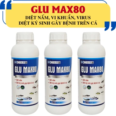 GLU MAX80 Diệt Nấm Ký Sinh Trên Cá - Giảm Giá 295k, Bảo Vệ Sức Khỏe Cá