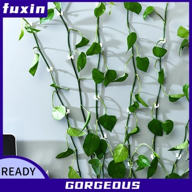 Gói 60 Kẹp Cây Treo Tường FUXIN - Dễ Dàng Leo Núi, Giá Ưu Đãi 127.972₫ 2 Gói 60 Kẹp Cây Treo Tường FUXIN - Dễ Dàng Leo Núi, Giá Ưu Đãi 127.972₫ 2