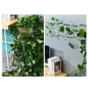 Gói 60 Kẹp Cây Treo Tường FUXIN - Dễ Dàng Leo Núi, Giá Ưu Đãi 127.972₫ 8
