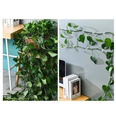 Gói 60 Kẹp Cây Treo Tường FUXIN - Dễ Dàng Leo Núi, Giá Ưu Đãi 127.972₫ 8 Gói 60 Kẹp Cây Treo Tường FUXIN - Dễ Dàng Leo Núi, Giá Ưu Đãi 127.972₫ 8