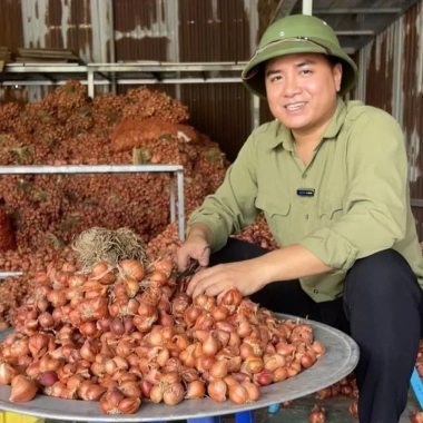 Hành Củ Kinh Môn 5kg - Thơm Nồng Đậm Vị, Giá Ưu Đãi 350.000đ (Giá gốc 448.000đ)