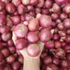 Hành khô Ấn Độ 1kg - Hành tím sạch vỏ, thơm nồng, củ tròn đều, giá chỉ 24.000đ 6