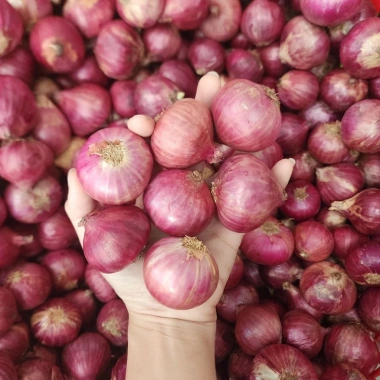 Hành khô Ấn Độ 1kg - Hành tím sạch vỏ, thơm nồng, củ tròn đều, giá chỉ 24.000đ 6