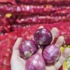 Hành khô Ấn Độ 1kg - Hành tím sạch vỏ, thơm nồng, củ tròn đều, giá chỉ 24.000đ 7