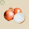 Hành Tây Sạch 1Kg Hành Vàng Thơm Ngon Chắc Củ Giá Chỉ 30.000 A Mẫn 3
