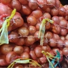 Hành Tây Sạch 1Kg Hành Vàng Thơm Ngon Chắc Củ Giá Chỉ 30.000 A Mẫn 7