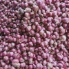 Hành tím Huế 1kg giá rẻ - Hành củ chuẩn vị chỉ 69000đ giảm từ 85560đ 4