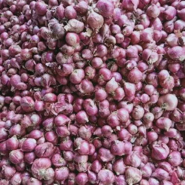 Hành tím Huế 1kg giá rẻ - Hành củ chuẩn vị chỉ 69000đ giảm từ 85560đ 4 Hành tím Huế 1kg giá rẻ - Hành củ chuẩn vị chỉ 69000đ giảm từ 85560đ 4