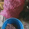 Hành tím Huế 1kg giá rẻ - Hành củ chuẩn vị chỉ 69000đ giảm từ 85560đ 7