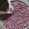 Hành tím Huế 1kg giá rẻ - Hành củ chuẩn vị chỉ 69000đ giảm từ 85560đ 8