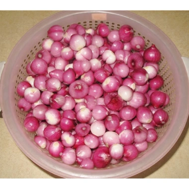 Hành Tím Ngâm Dấm 500g Dì Cẩn - Món Đưa Cơm Cực Cuốn, Giá ưu đãi 94.500 VND