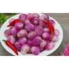Hành Tím Ngâm Dấm 500g Dì Cẩn - Món Đưa Cơm Cực Cuốn, Giá ưu đãi 94.500 VND 5