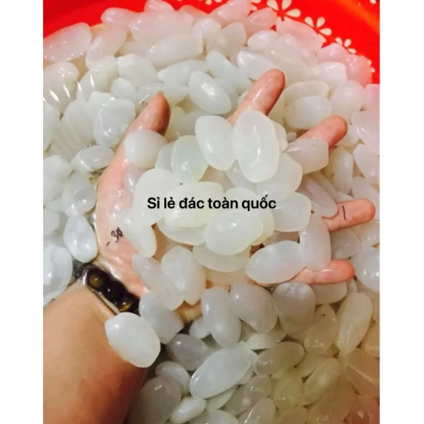 Hình ảnh sản phẩm Hạt Đác Tươi Hà Nội 1kg Giá Sỉ 66000đ - Mua 10kg Chỉ 66000đ Đồng