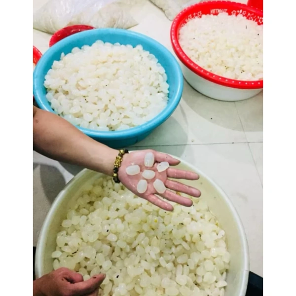 Bí quyết bảo quản hạt đác tươi Hà Nội để giữ độ giòn và hương vị lâu hơn