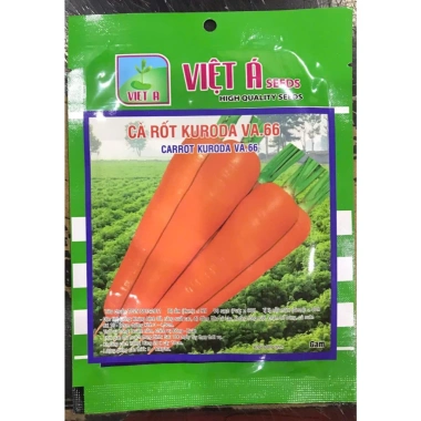 Hạt giống cà rốt hàng công ty