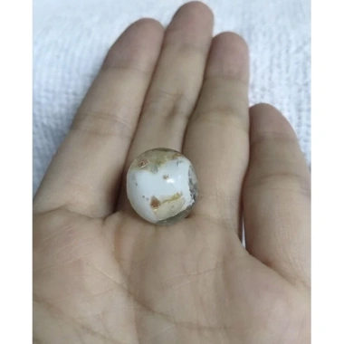 Hạt lu chất lượng cao, giảm còn 40k (giá gốc 52k) - dinh dưỡng, thơm ngon, tăng năng lượng 7 Hạt lu chất lượng cao, giảm còn 40k (giá gốc 52k) - dinh dưỡng, thơm ngon, tăng năng lượng 7