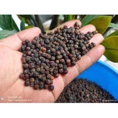 Hạt Tiêu Đen Chín Đỏ Tây Nguyên 1kg - Giảm Giá Còn 220k 3