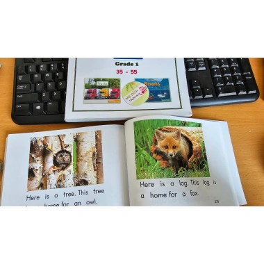 Heinemann Level K G1 video và nghe, G2 nghe không video - Giá ưu đãi 195.000đ (giá gốc 253.500đ)