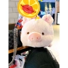 Heo Nằm Size To Cute Đeo Yếm - Đồ Bỉm Siêu Đáng Yêu Giá Ưu Đãi 150.000 VNĐ