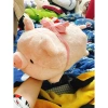 Heo Nằm Size To Cute Đeo Yếm - Đồ Bỉm Siêu Đáng Yêu Giá Ưu Đãi 150.000 VNĐ 3