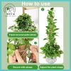 Hỗ Trợ Cây Cực Rêu Trellis Cho Monstera và Cây Leo - Dễ Lắp Đặt, Giá Ưu Đãi 4