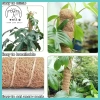 Hỗ Trợ Cây Cực Rêu Trellis Cho Monstera và Cây Leo - Dễ Lắp Đặt, Giá Ưu Đãi 6