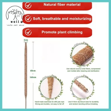 Hỗ Trợ Cây Cực Rêu Trellis Cho Monstera và Cây Leo - Dễ Lắp Đặt, Giá Ưu Đãi