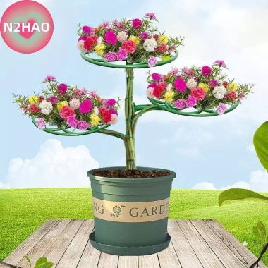 Hỗ Trợ Hoa Hướng Dương Chân Đế N2HAO 2-3 Lớp - Dễ Trồng, Đỡ Leo Núi, Giá 103.400 VND 3 Hỗ Trợ Hoa Hướng Dương Chân Đế N2HAO 2-3 Lớp - Dễ Trồng, Đỡ Leo Núi, Giá 103.400 VND 3