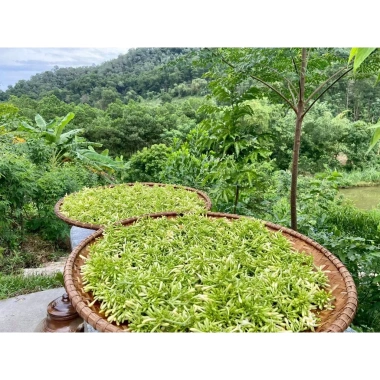 Hoa Đu Đủ Đặc Ngâm Ong Thùng Lũng Xanh - XANHSAM Organic, Giá ưu đãi 412.500₫ 7 Hoa Đu Đủ Đặc Ngâm Ong Thùng Lũng Xanh - XANHSAM Organic, Giá ưu đãi 412.500₫ 7